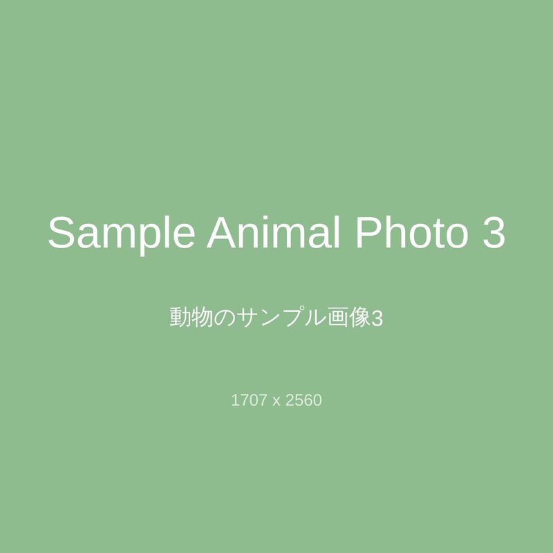 動物園アルバム（自動収集）